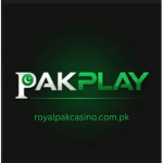 Pakplay Game APK