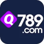 Q789 Game
