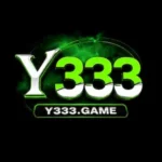 Y333 GAME