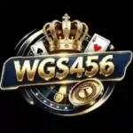 WGS456 Game