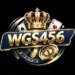 WGS456 Game